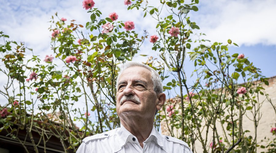 Márkus Gábor 2025 Sebestyén L