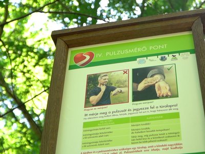 20240513_tbalint_egeszseg_borito2