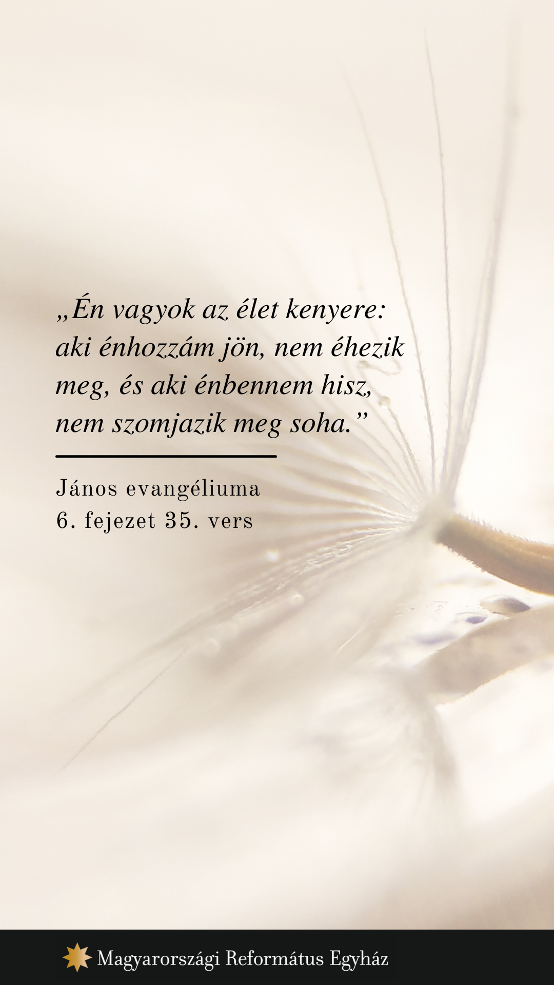 24-jan.20