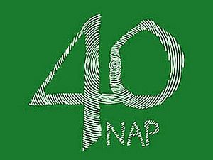 40nap.jpg