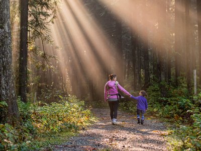 Szabadság, pihenés, erdő, séta, gyermek, fa, kikapcsolódás  Fotó: Unsplash