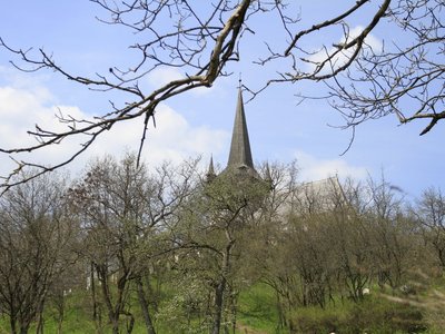 Ambrus Attila cikkhez illusztráció (f.Kalocsai Richárd)