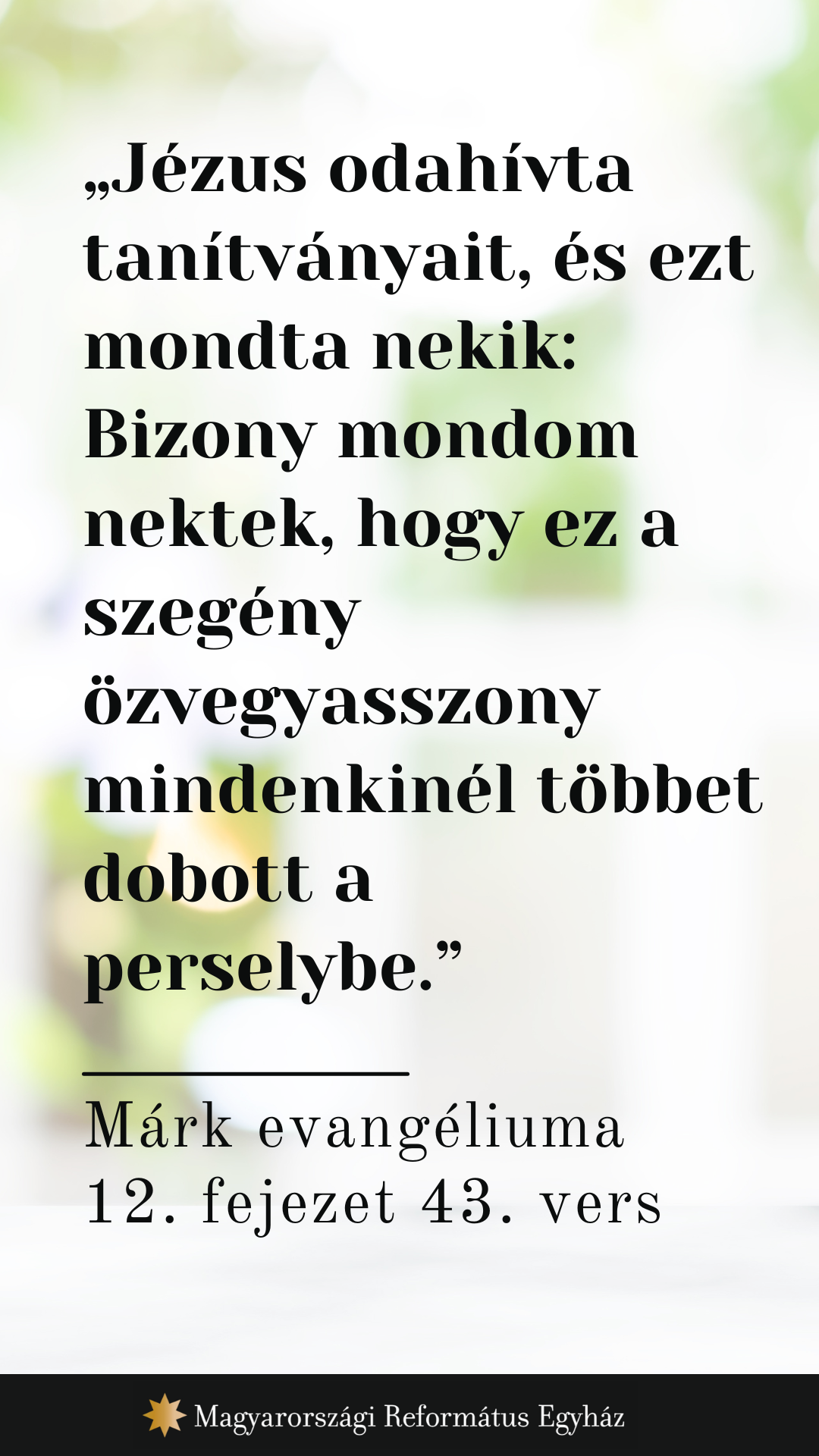 Augusztus 15.