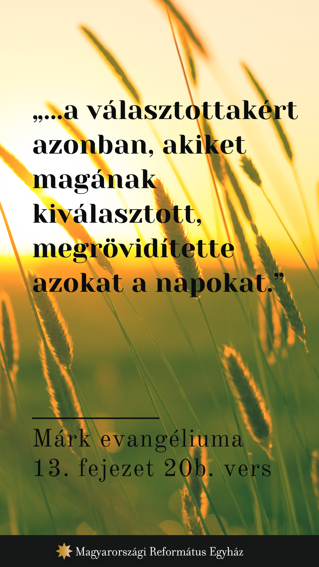 Augusztus 16