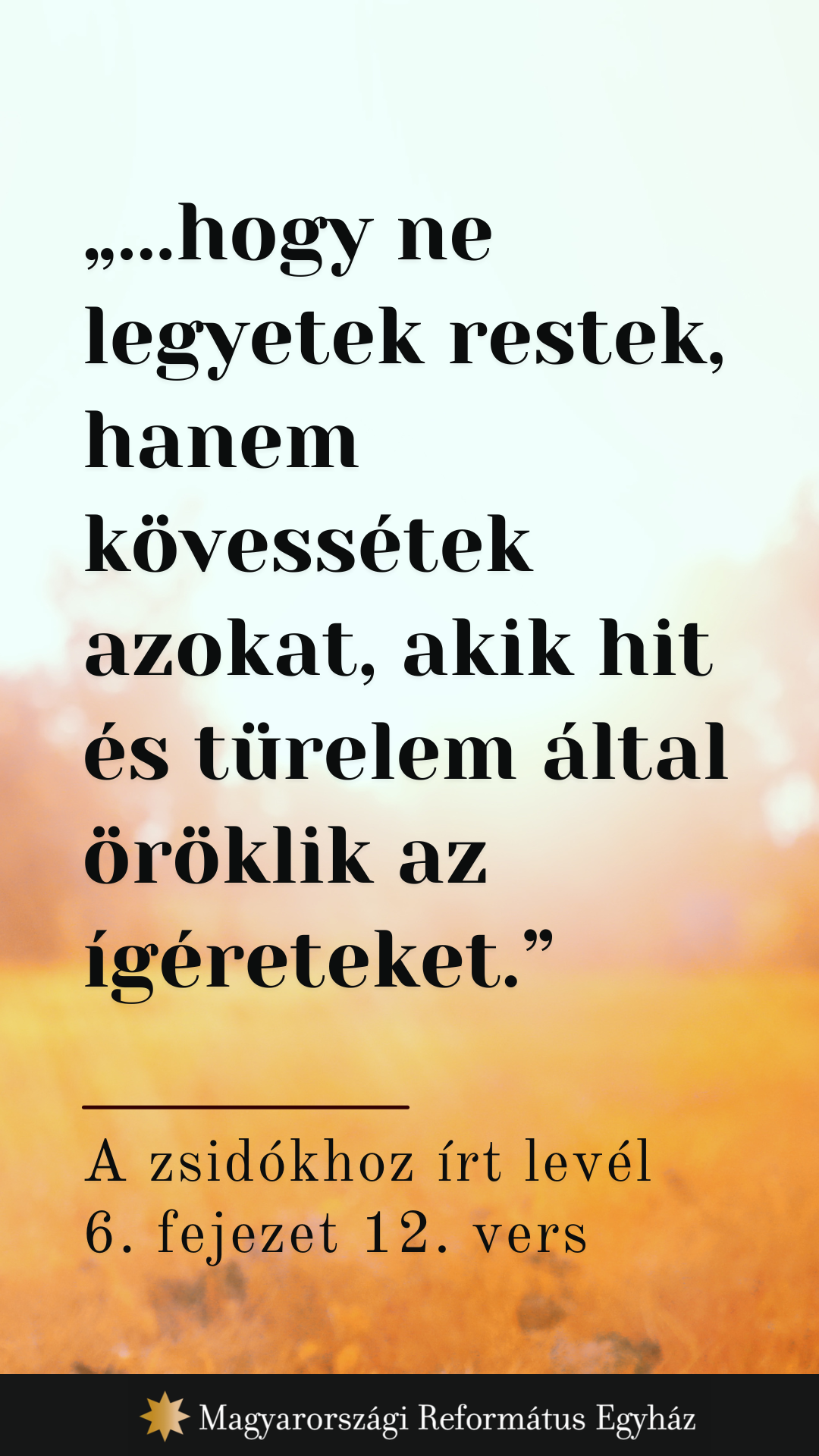 Augusztus 18