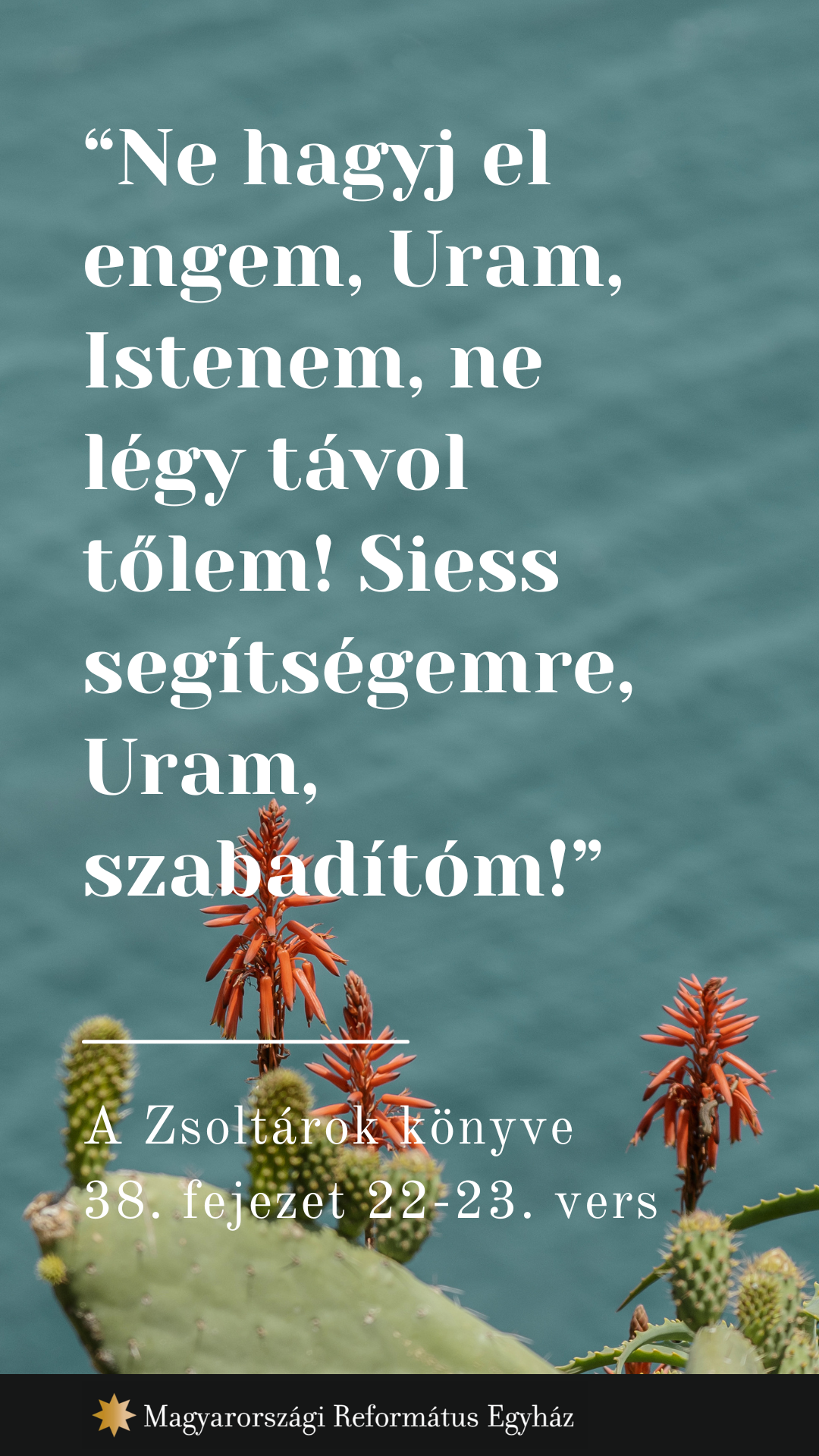 Augusztus 27
