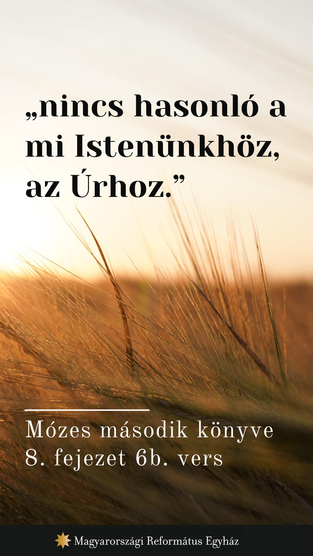 Augusztus 29.