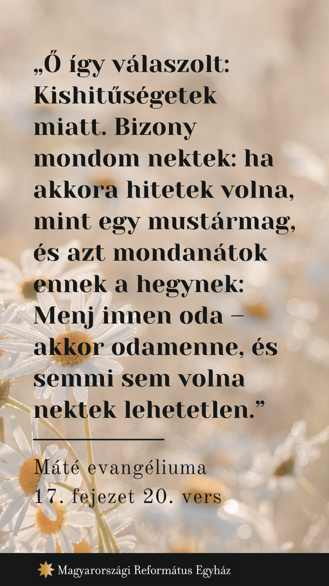 Augusztus 29