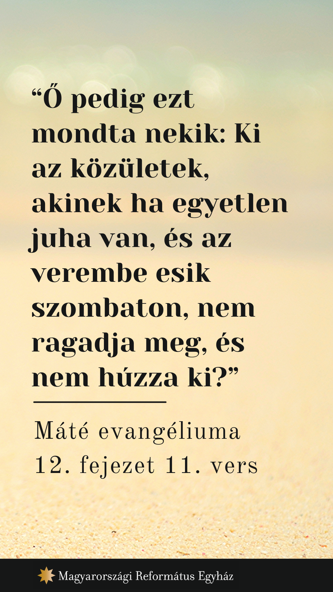 Augusztus 6.