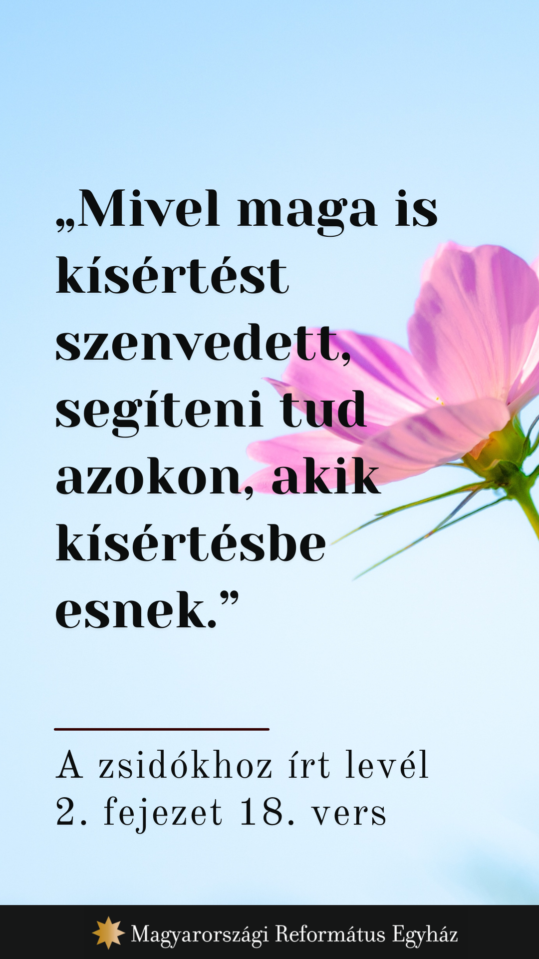 Augusztus 8