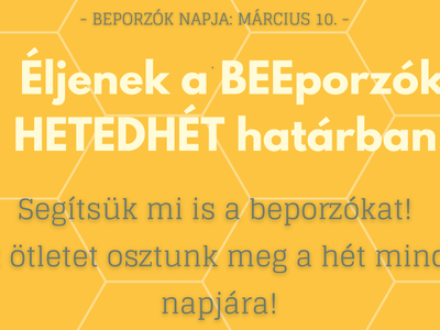 BEPORZÓK_fejléc.png