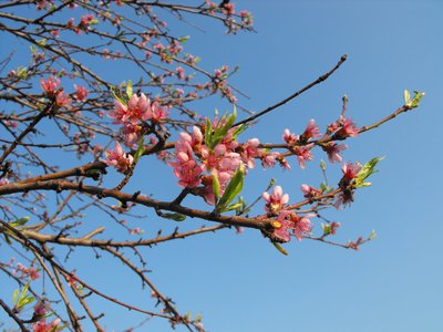 DSCF4022.jpg