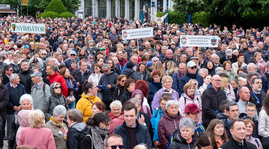 Egységnap, Debrecen 2025, SJ illusztráció (f.Pocsai Petra)