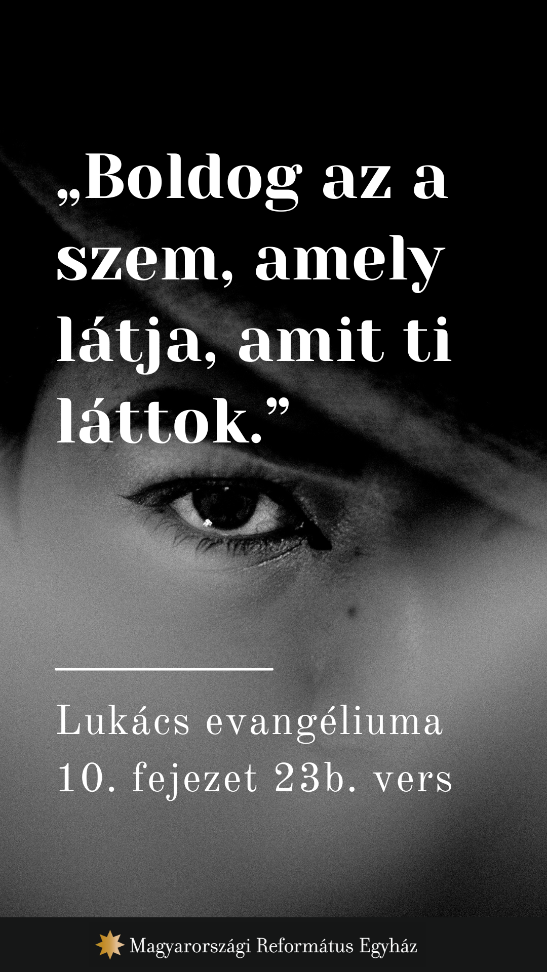 Február 11.