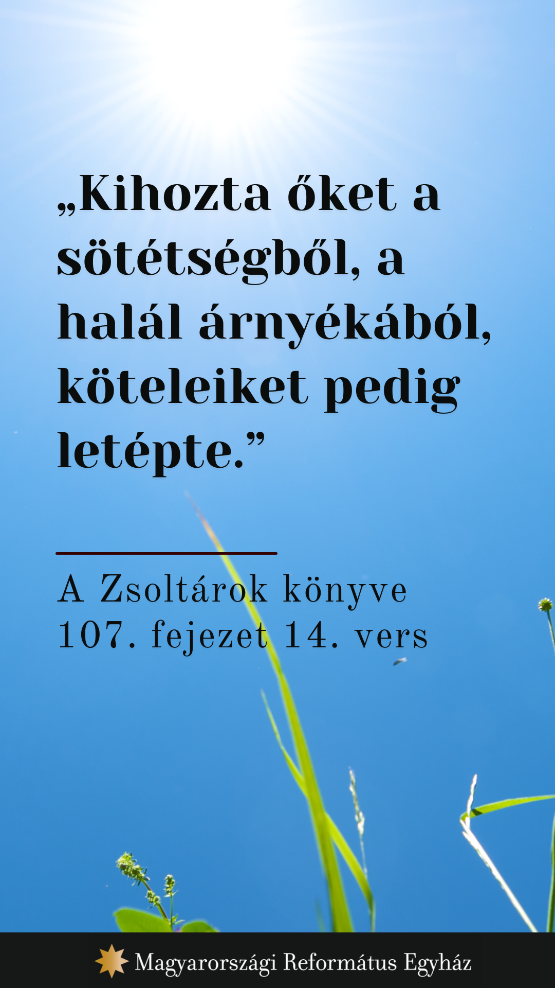 Június 11