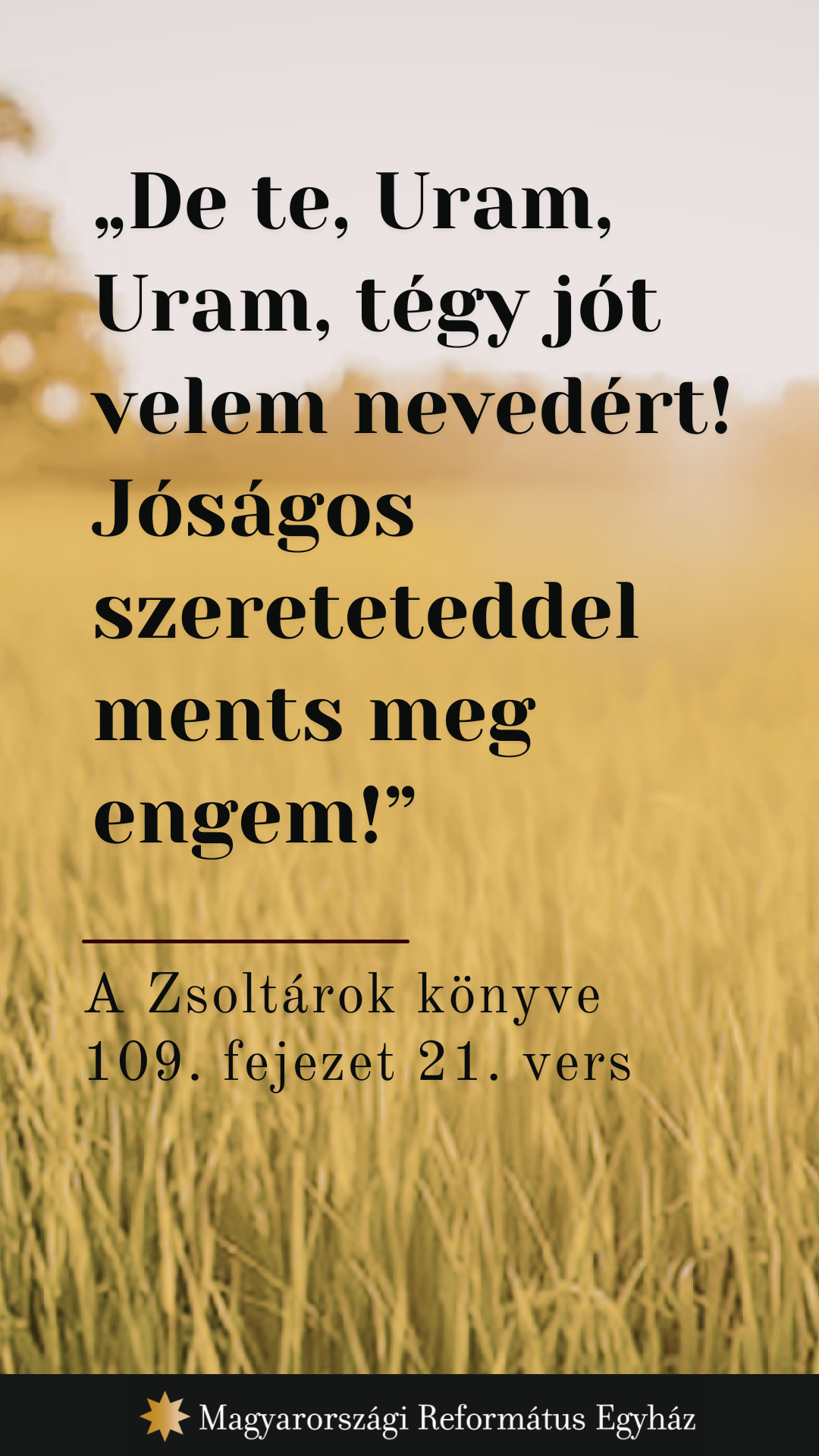 Június 13