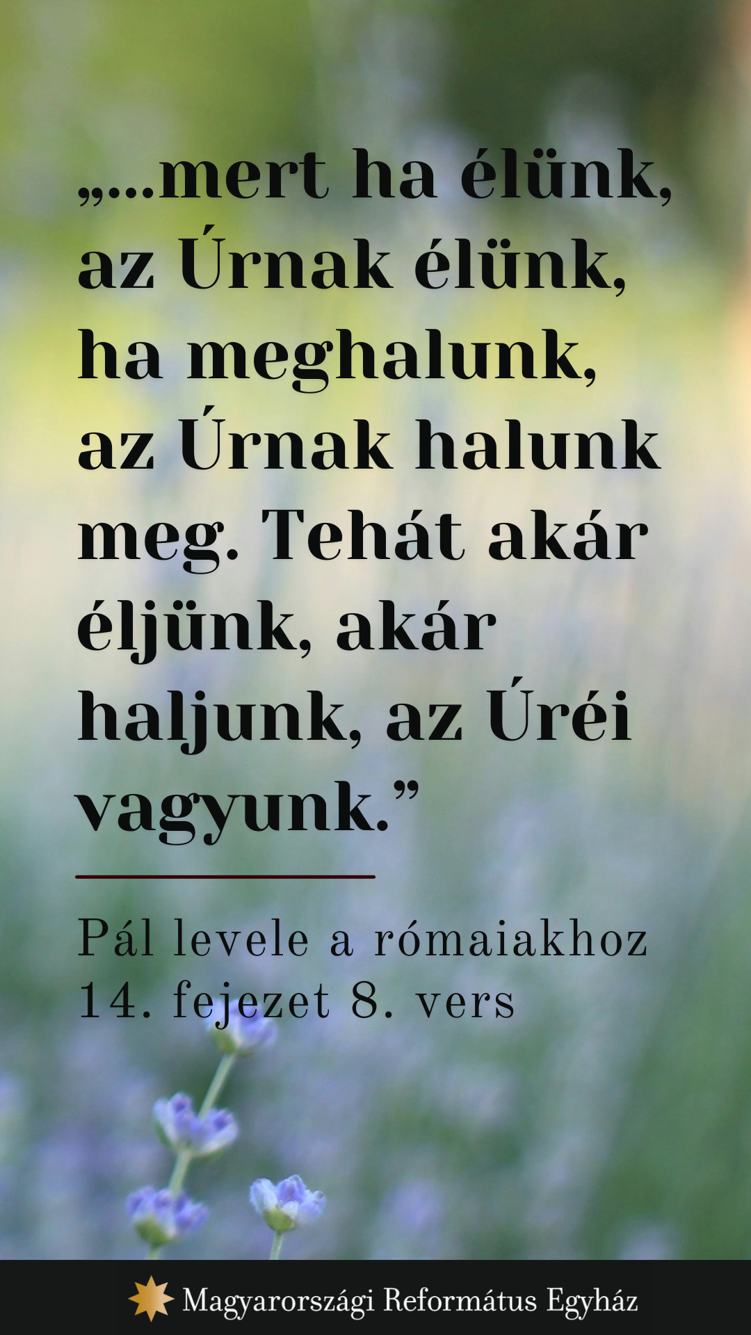 Május 31