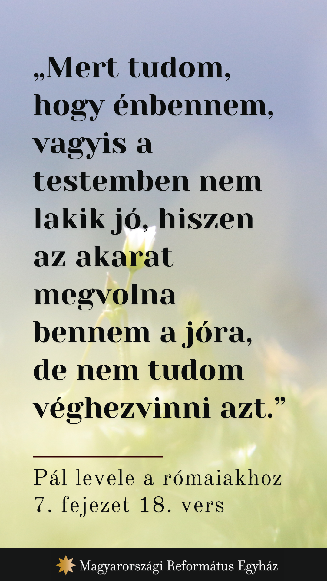 Május 5