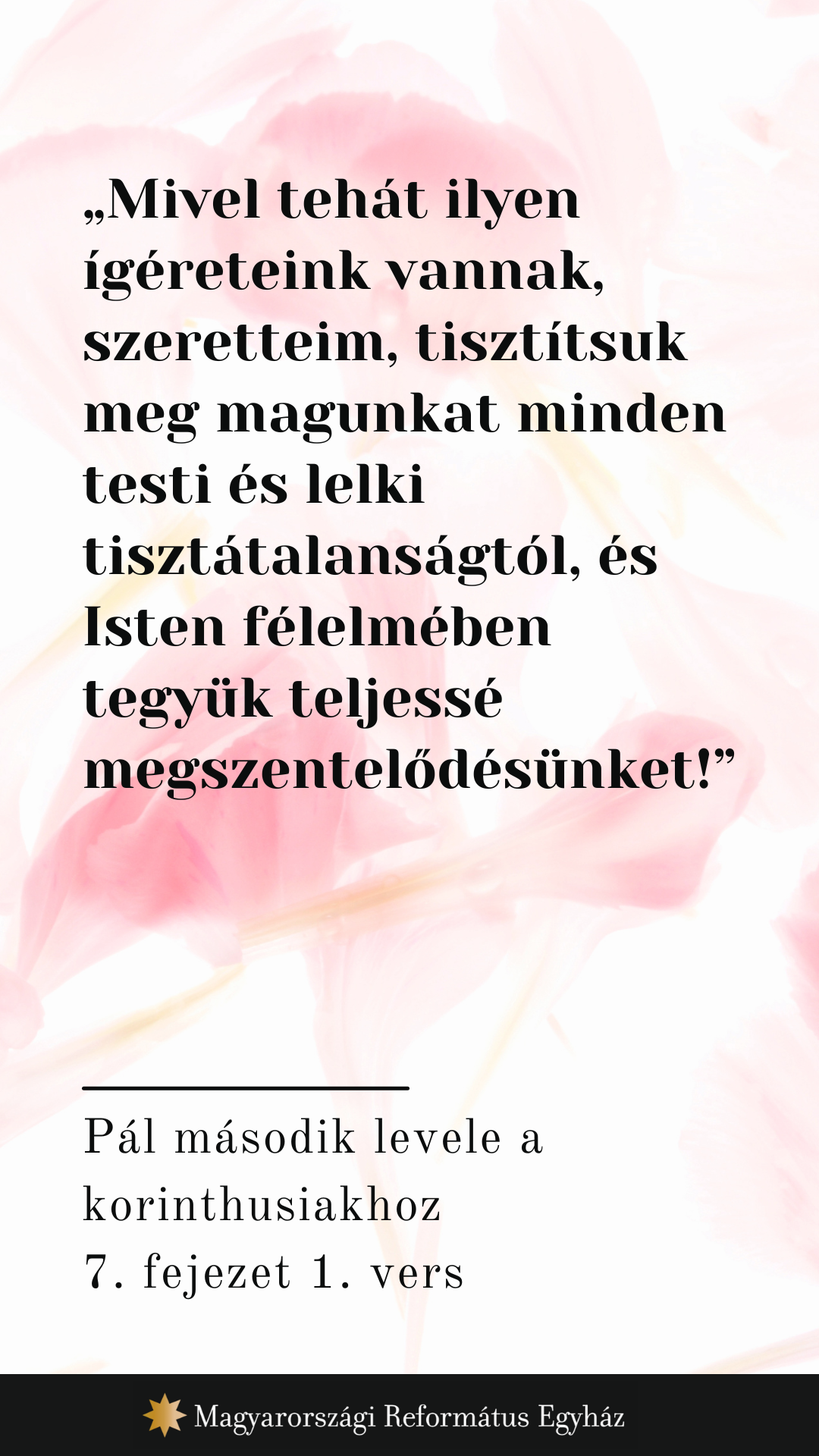 Május 8