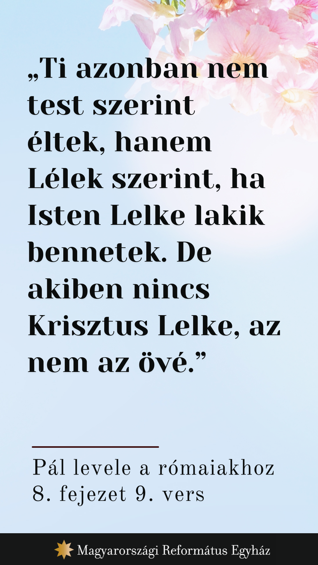 Május 8