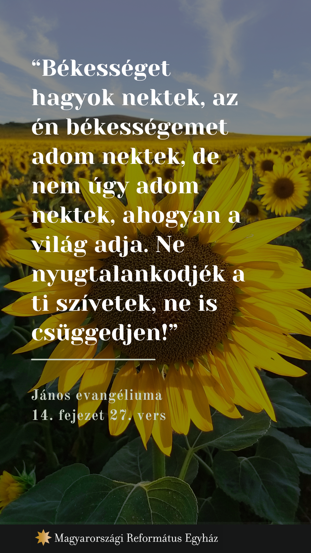 Március 11
