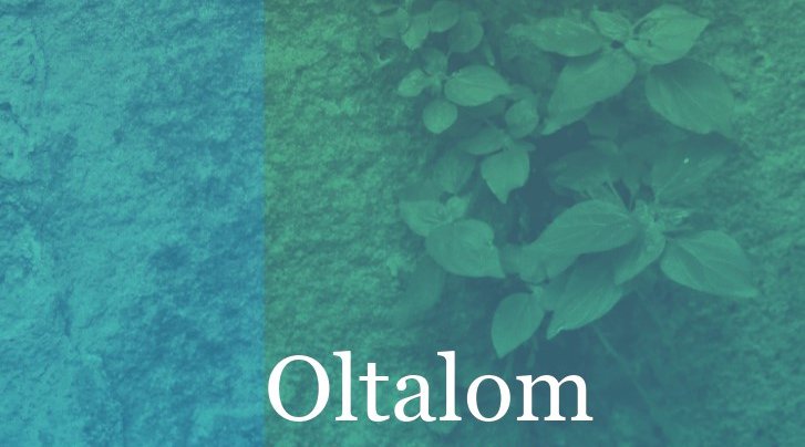 Oltalom-borito.jpg