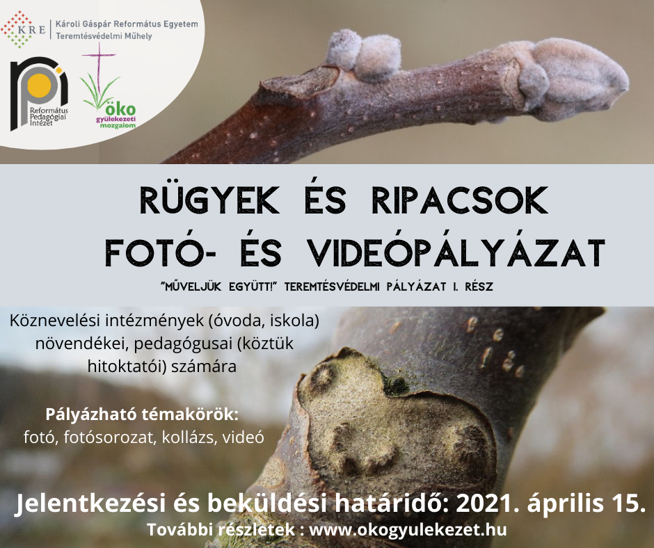 RÜGYEK ÉS RIPACSOK – Fotó- és videópályázat_végleges.png