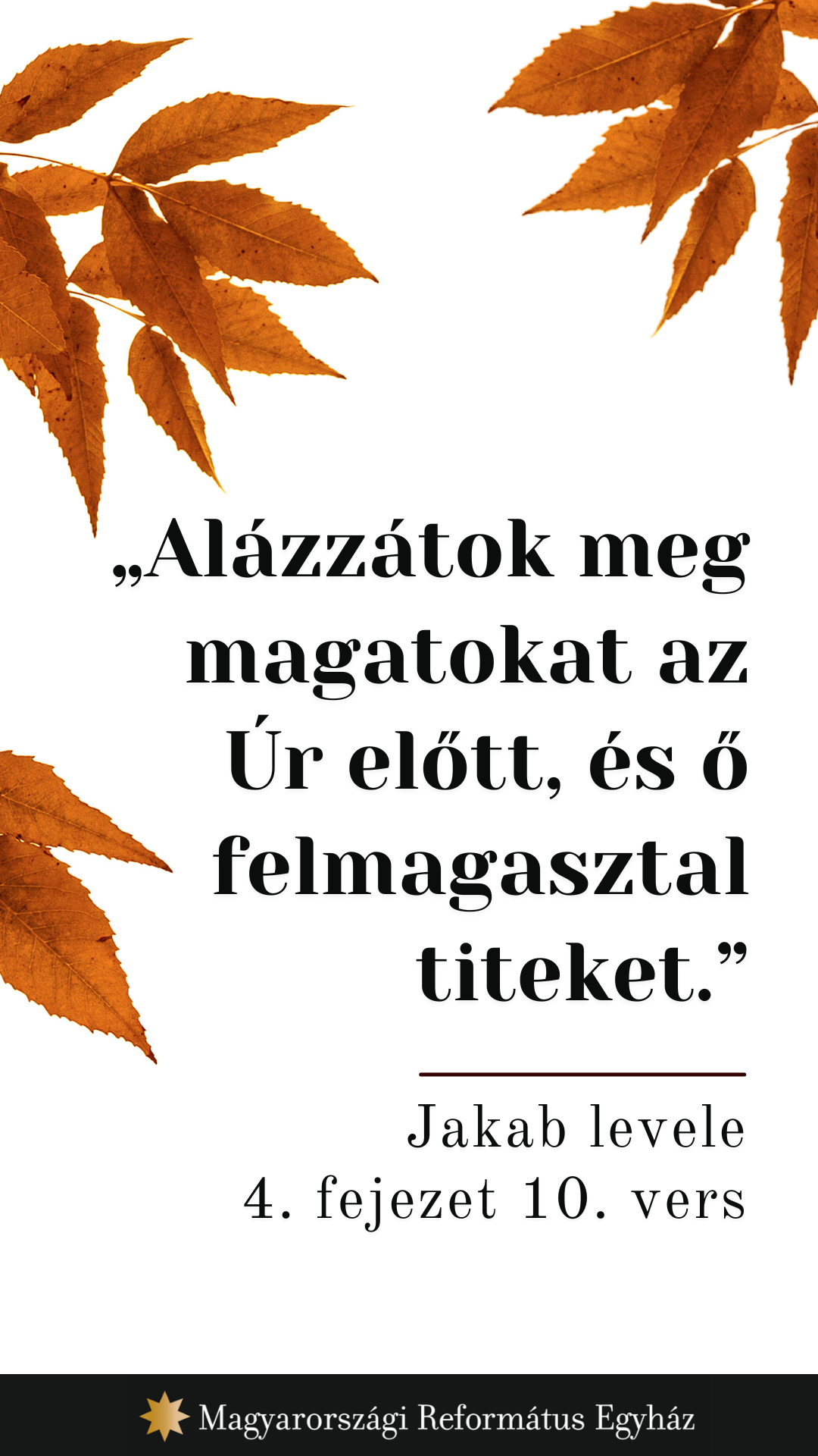 Szeptember 25