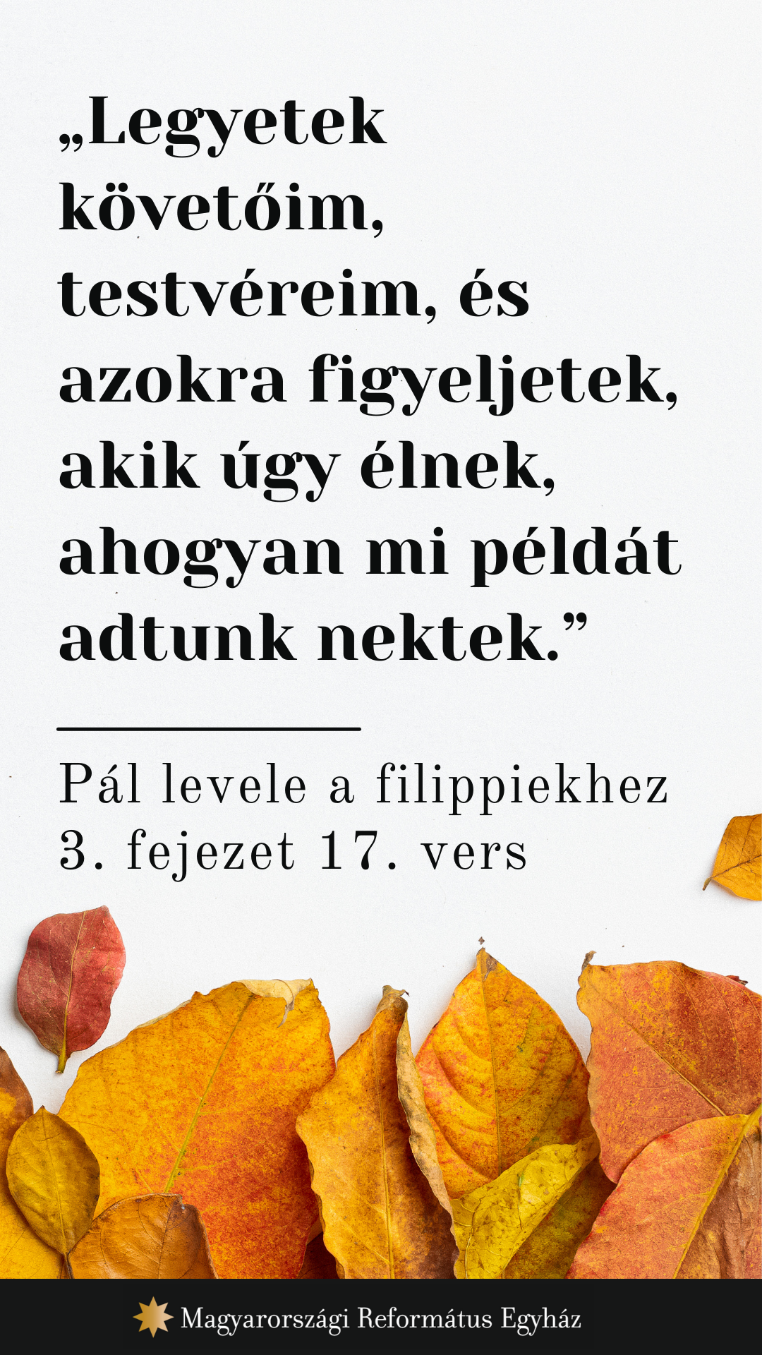 Szeptember 7