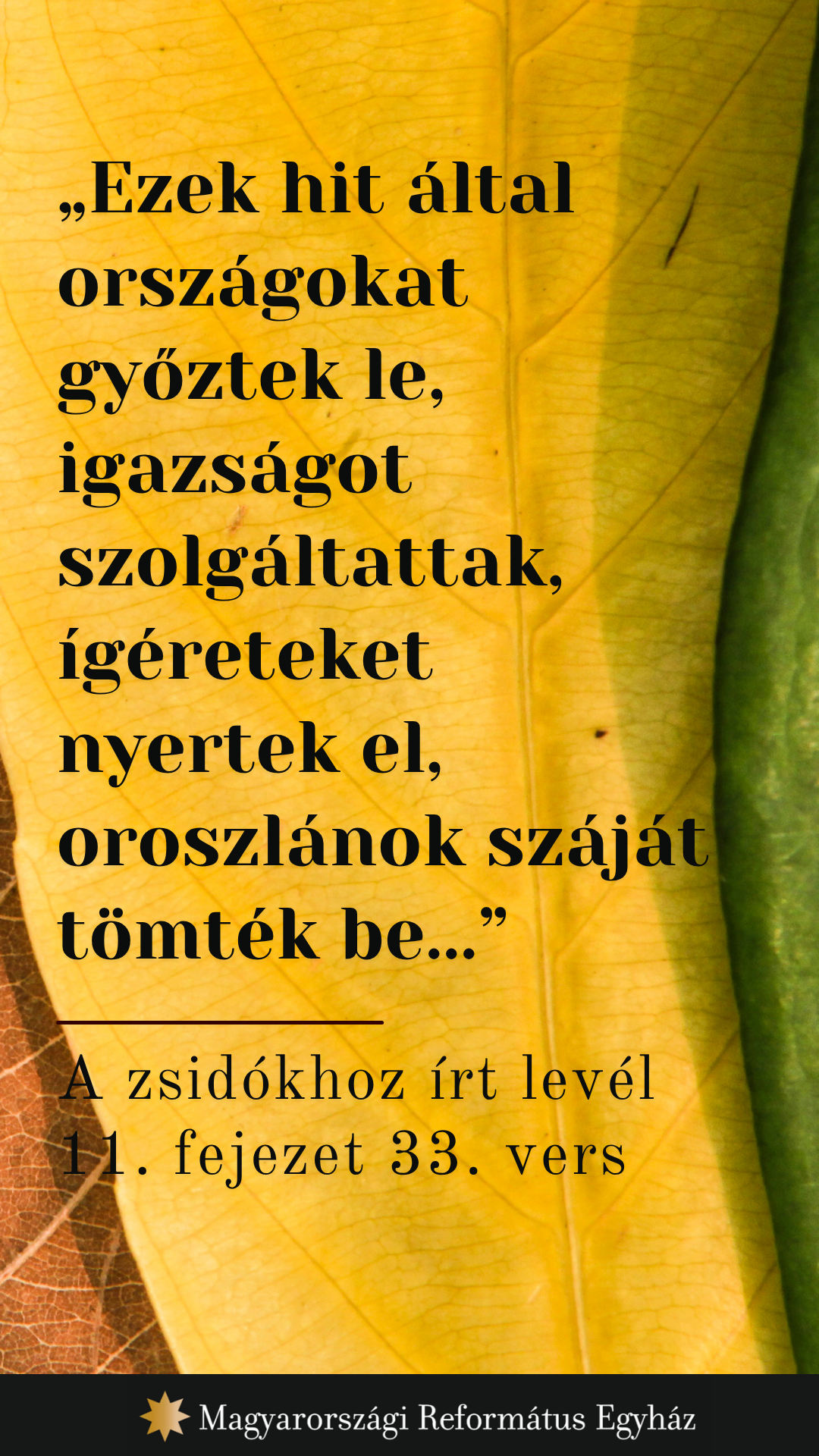 Szeptember 7