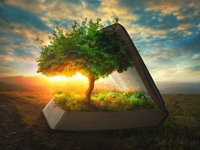 Teremtés hete borító