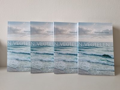 Végtelen című könyv (f.Csoma Zsuzsanna Éva)