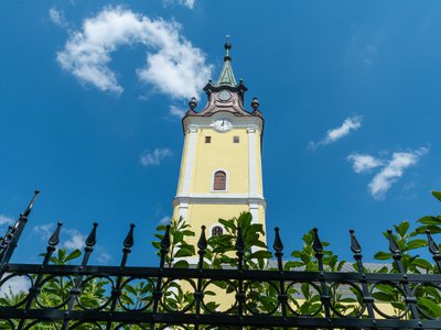 Hajdúnánás, Zelenka Attila