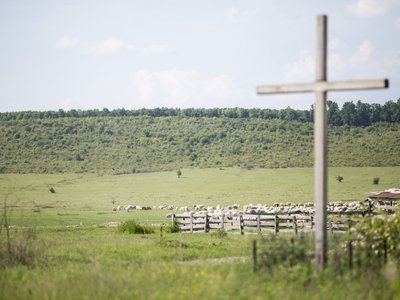 Legelő kereszttel - illusztráció: nyáj, természet, táj - Fotó:?