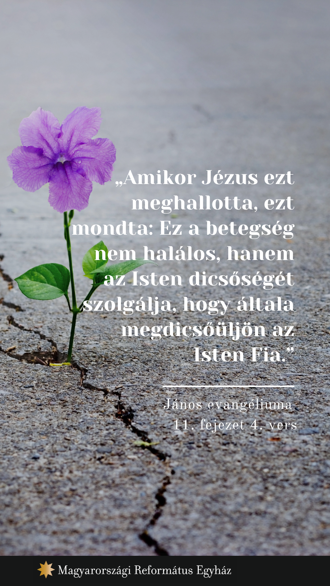 február 18