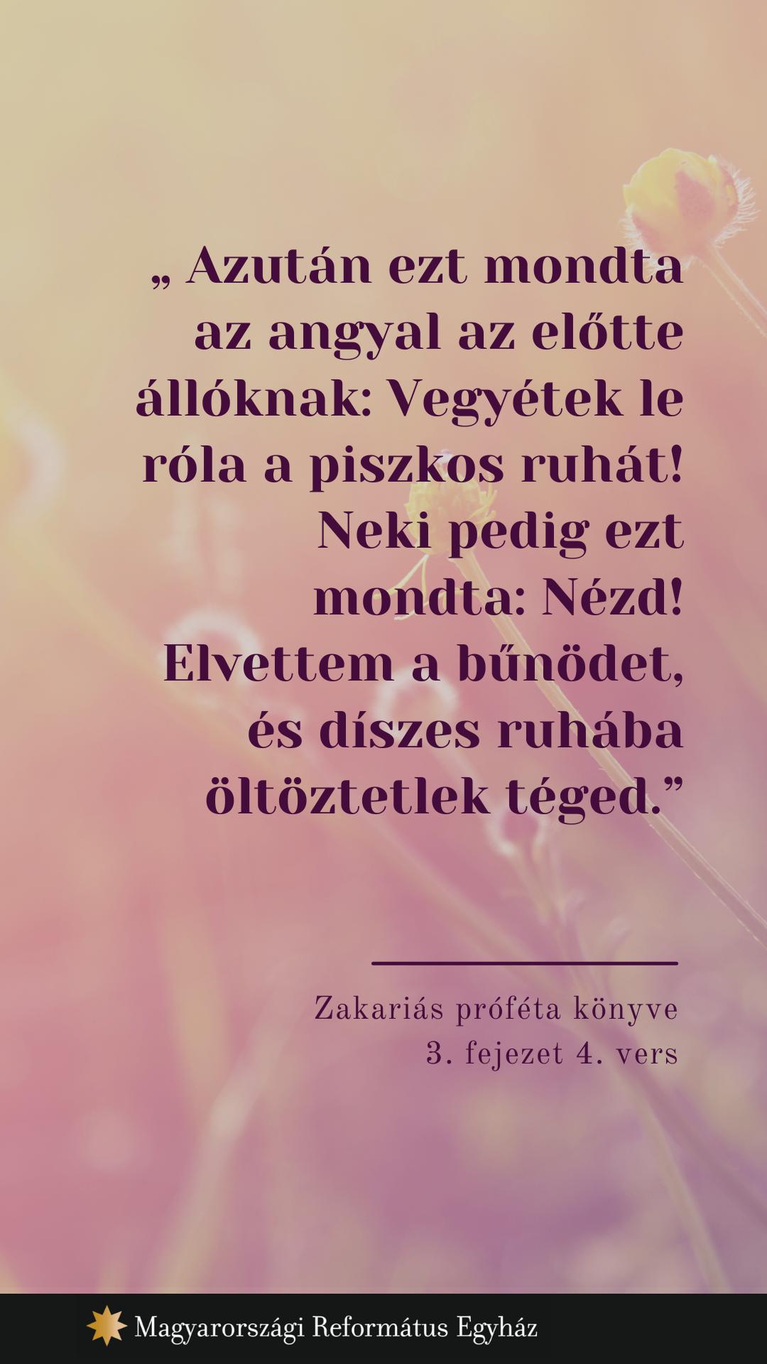 február 22