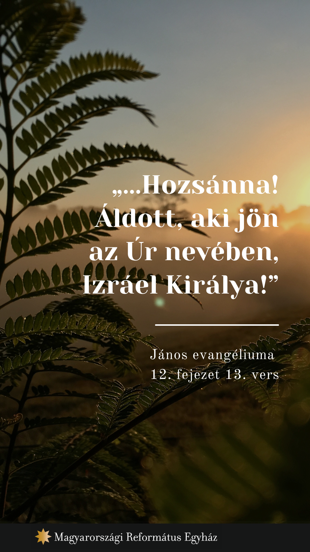 február 24