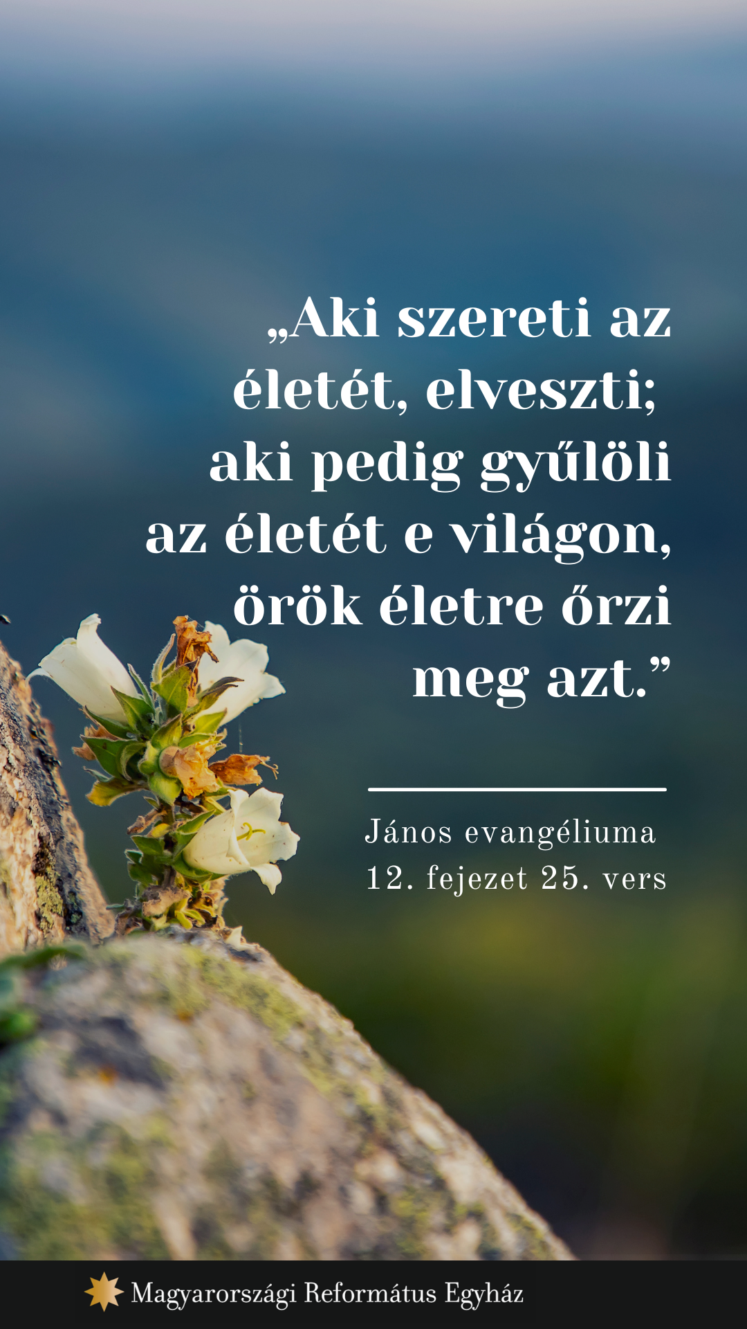 február 25