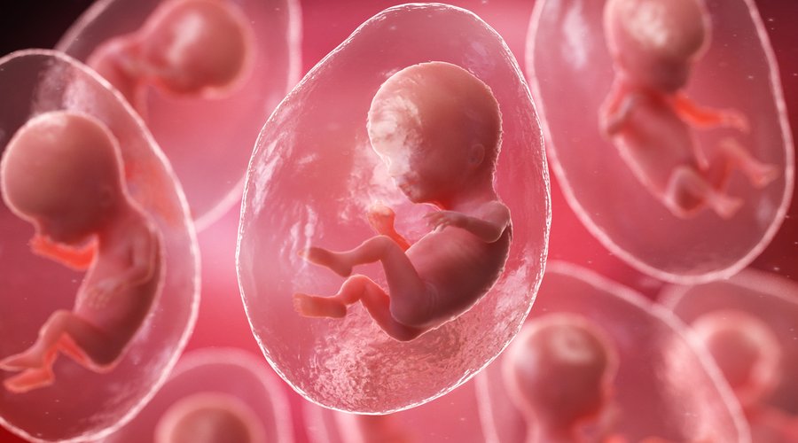 Lombik, baba, élet, születés Fotó: Getty Images  2024