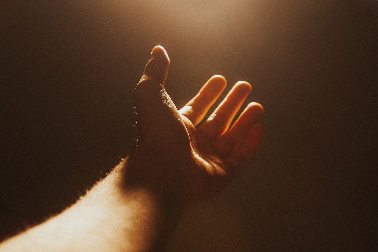 hand-g7bb6b3647_1920.jpg