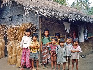 indo301.jpg