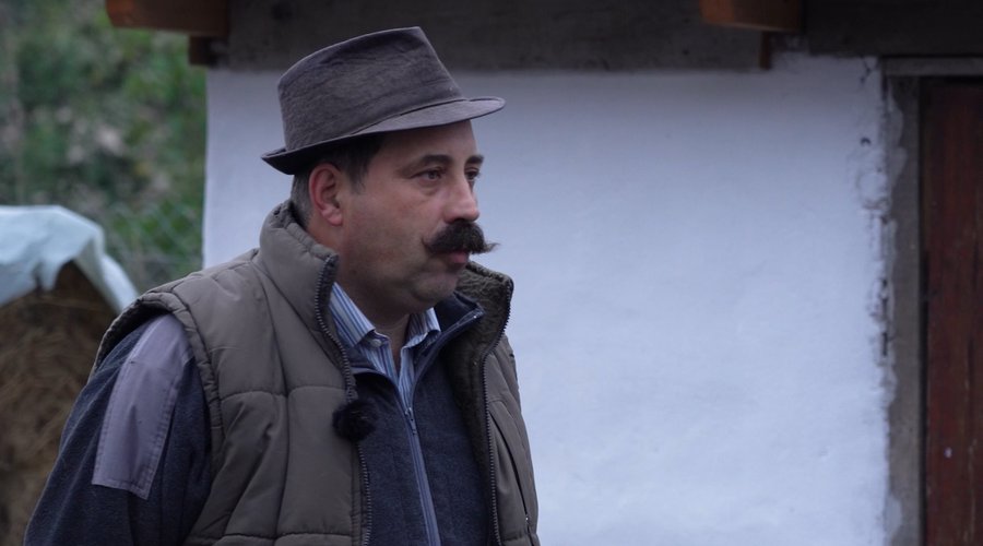 kolcse_boritokep