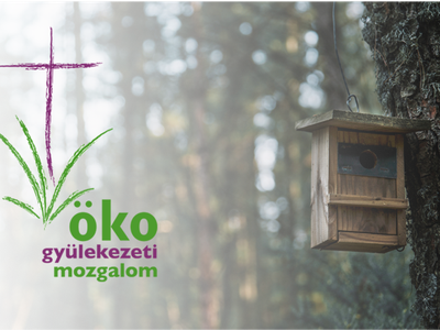 oko_logo.png