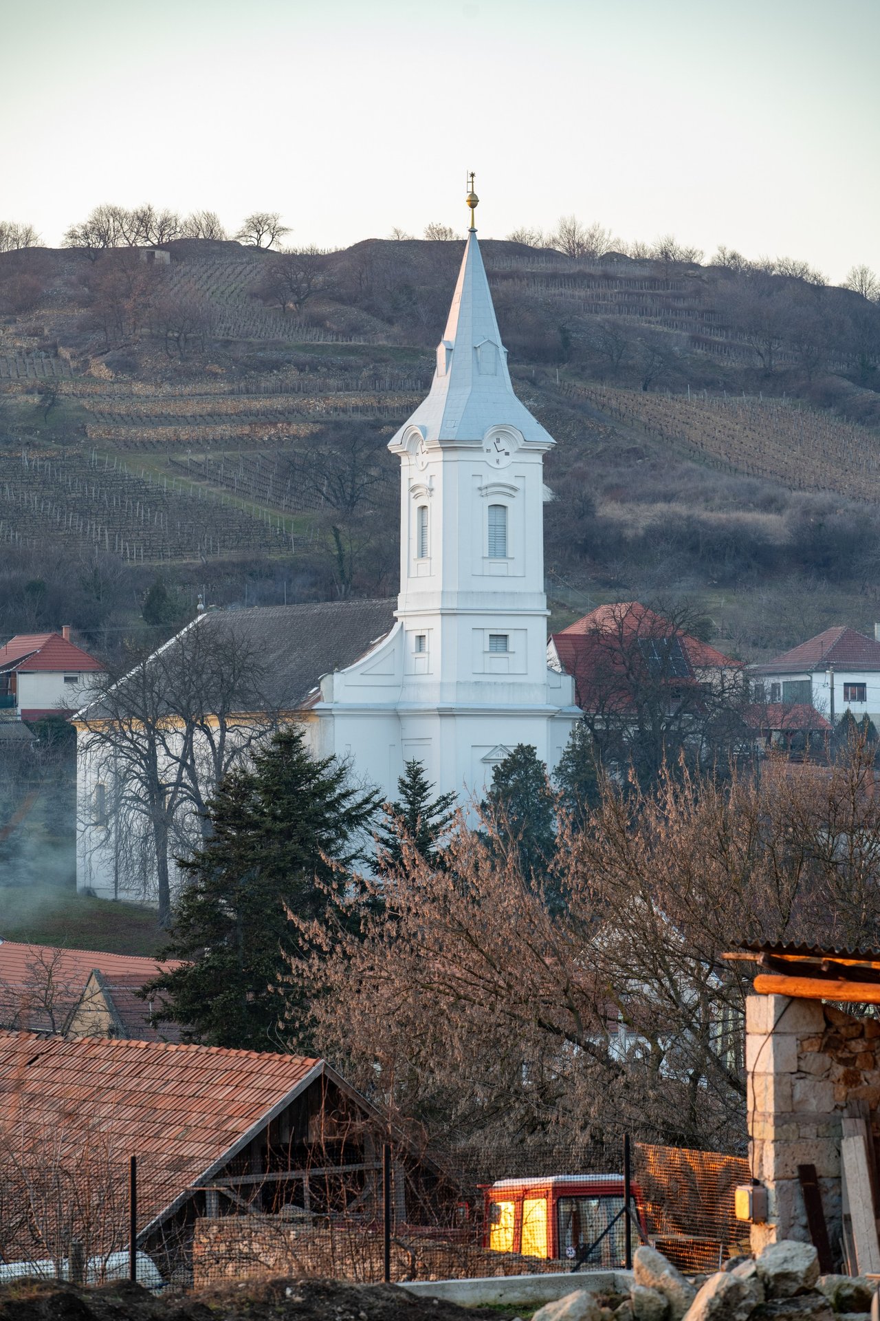 BORUM előzetes 2024. február 15. Mád Fotó: Zelenka Attila