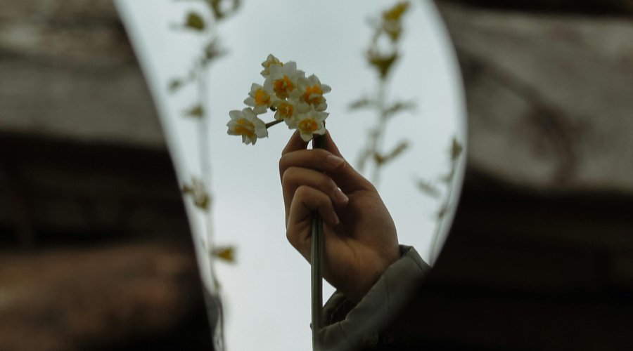Törött tükör - Fotó: Pexels/Rahimegul