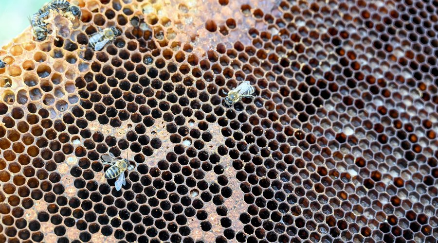 mehest-a-papkertbearnotriport202-bdef653738