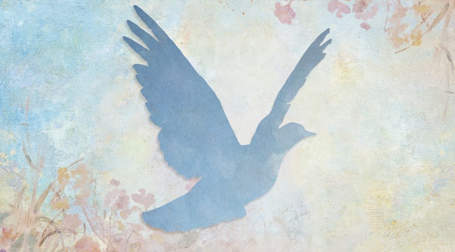 fotó: freepik