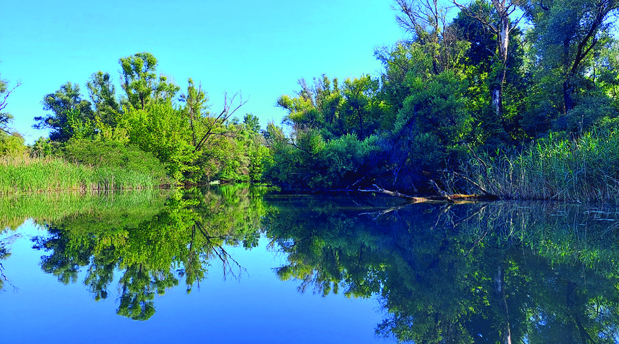 Tisza - fotó: Kincses Krisztina