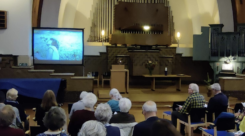 Interfilm_amszterdam_oikosneteurope