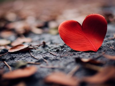 szeretet_fotó_freepik